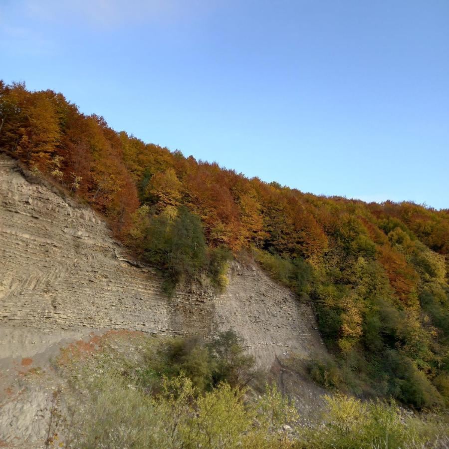 Лаванда Yaremche Exterior photo